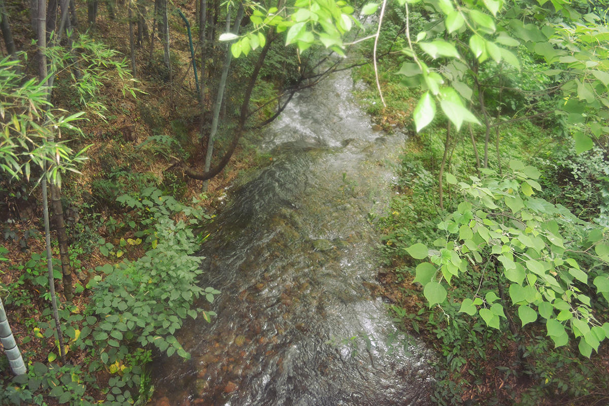 1637035214451833.jpg 3.jpg